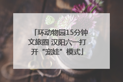 环动物园15分钟文旅圈 汉阳六一打开“宠娃”模式