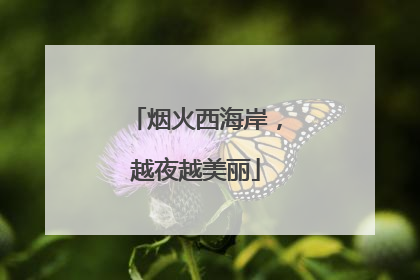 烟火西海岸，越夜越美丽