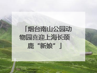 烟台南山公园动物园喜迎上海长颈鹿“新娘”