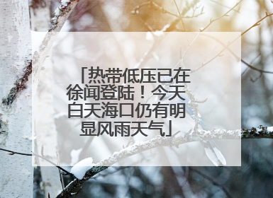 热带低压已在徐闻登陆！今天白天海口仍有明显风雨天气