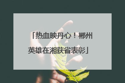 热血映丹心！郴州英雄在湘获省表彰