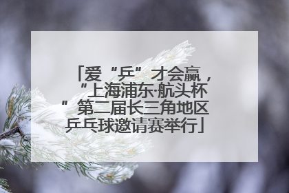 爱“乒”才会赢，“上海浦东·航头杯”第二届长三角地区乒乓球邀请赛举行
