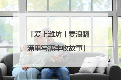 爱上潍坊丨麦浪翻涌里写满丰收故事