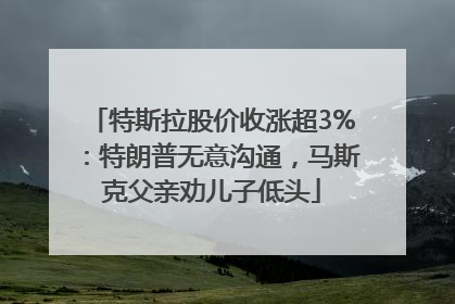特斯拉股价收涨超3%：特朗普无意沟通，马斯克父亲劝儿子低头