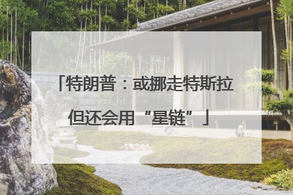 特朗普：或挪走特斯拉 但还会用“星链”