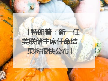 特朗普：新一任美联储主席任命结果将很快公布