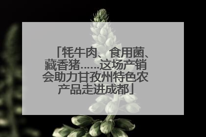 牦牛肉、食用菌、藏香猪……这场产销会助力甘孜州特色农产品走进成都
