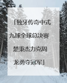 独牙传奇中式九球全球总决赛 楚秉杰力克周龙勇夺冠军