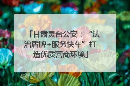 甘肃灵台公安：“法治盾牌+服务快车”打造优质营商环境