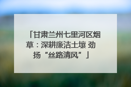甘肃兰州七里河区烟草：深耕廉洁土壤 劲扬“丝路清风”