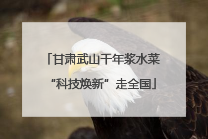 甘肃武山千年浆水菜“科技焕新”走全国