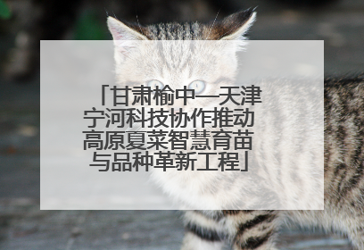 甘肃榆中—天津宁河科技协作推动高原夏菜智慧育苗与品种革新工程