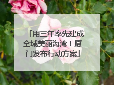 用三年率先建成全域美丽海湾！厦门发布行动方案