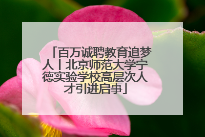 百万诚聘教育追梦人丨北京师范大学宁德实验学校高层次人才引进启事