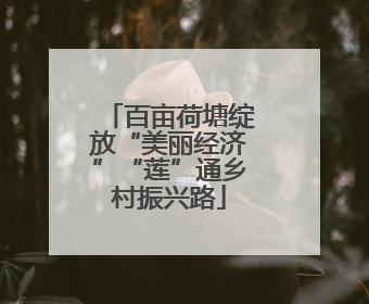 百亩荷塘绽放“美丽经济”“莲”通乡村振兴路