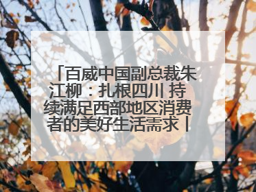 百威中国副总裁朱江柳：扎根四川 持续满足西部地区消费者的美好生活需求丨西望四川