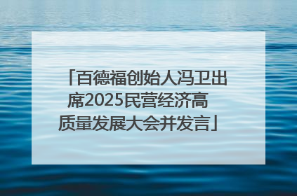 百德福创始人冯卫出席2025民营经济高质量发展大会并发言