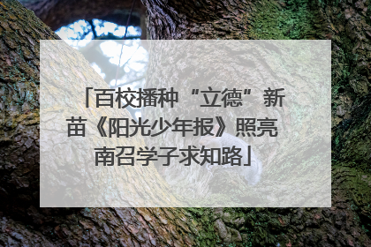 百校播种“立德”新苗《阳光少年报》照亮南召学子求知路