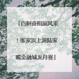 百舸奋楫展风采！张家浜上演陆家嘴金融城龙舟赛