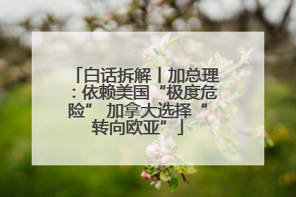 白话拆解丨加总理：依赖美国“极度危险” 加拿大选择“转向欧亚”