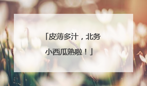 皮薄多汁，北务小西瓜熟啦！