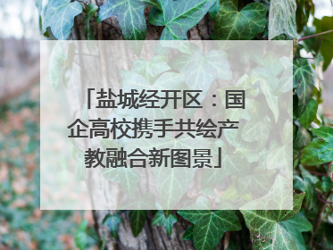 盐城经开区：国企高校携手共绘产教融合新图景