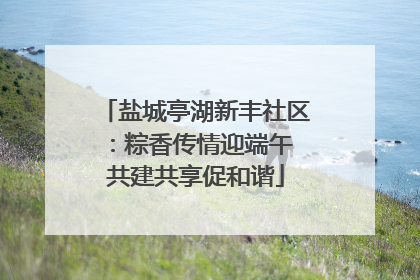 盐城亭湖新丰社区：粽香传情迎端午 共建共享促和谐