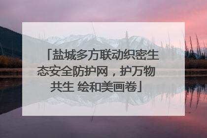 盐城多方联动织密生态安全防护网，护万物共生 绘和美画卷