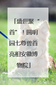 盛世聚“首”！圆明园七尊兽首亮相安徽博物院