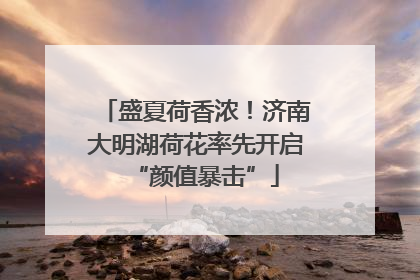 盛夏荷香浓！济南大明湖荷花率先开启“颜值暴击”