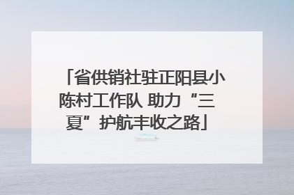 省供销社驻正阳县小陈村工作队 助力“三夏”护航丰收之路