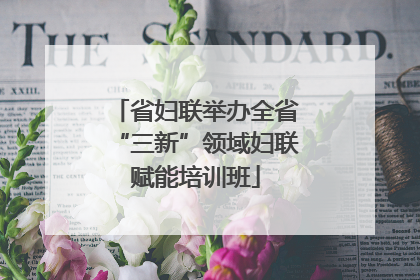 省妇联举办全省“三新”领域妇联赋能培训班