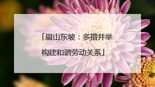 眉山东坡：多措并举构建和谐劳动关系