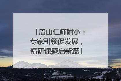 眉山仁师附小：专家引领促发展，精研课题启新篇