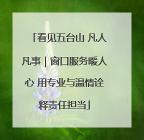 看见五台山 凡人凡事｜窗口服务暖人心 用专业与温情诠释责任担当