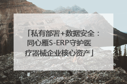 私有部署+数据安全：同心雁S-ERP守护医疗器械企业核心资产