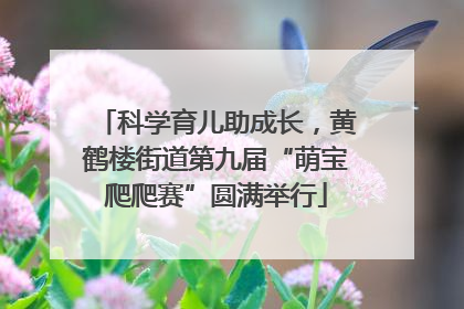 科学育儿助成长，黄鹤楼街道第九届“萌宝爬爬赛”圆满举行