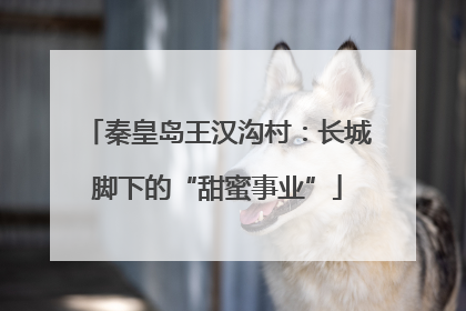 秦皇岛王汉沟村：长城脚下的“甜蜜事业”