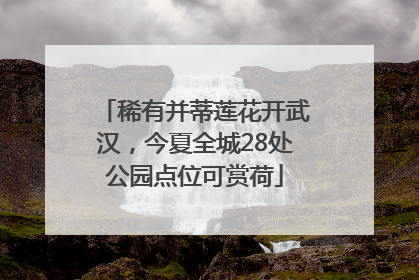 稀有并蒂莲花开武汉，今夏全城28处公园点位可赏荷