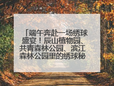 端午奔赴一场绣球盛宴！辰山植物园、共青森林公园、滨江森林公园里的绣球秘境在这里