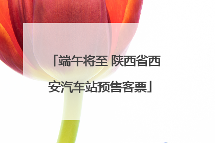 端午将至 陕西省西安汽车站预售客票