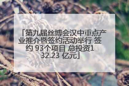 第九届丝博会汉中重点产业推介暨签约活动举行 签约 93个项目 总投资132.23 亿元