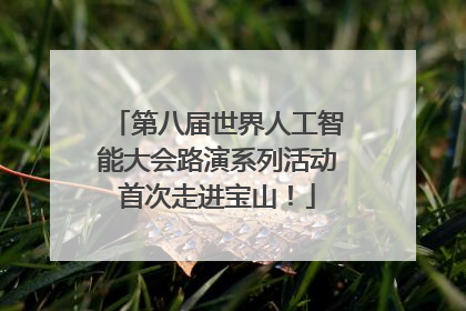 第八届世界人工智能大会路演系列活动首次走进宝山！