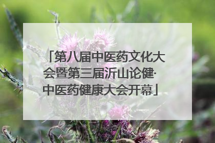 第八届中医药文化大会暨第三届沂山论健·中医药健康大会开幕