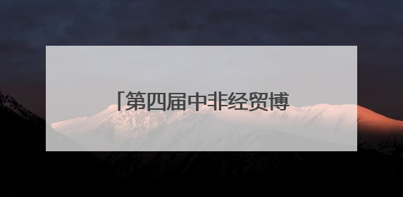 第四届中非经贸博览会非洲外宾代表团考察中伟宁乡基地