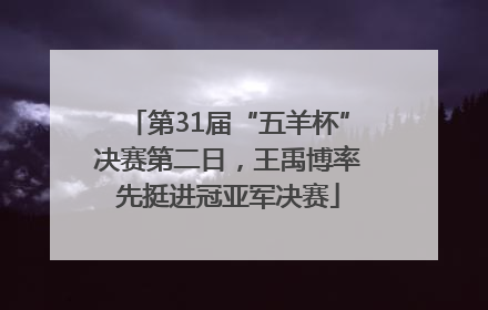 第31届“五羊杯”决赛第二日，王禹博率先挺进冠亚军决赛