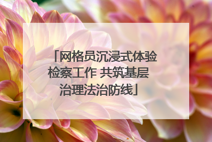 网格员沉浸式体验检察工作 共筑基层治理法治防线