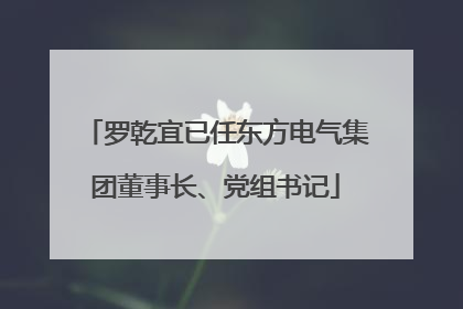 罗乾宜已任东方电气集团董事长、党组书记
