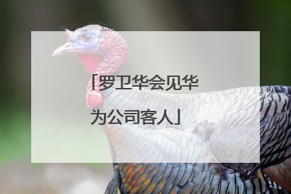 罗卫华会见华为公司客人