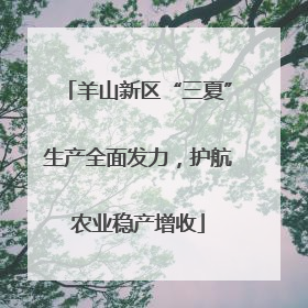 羊山新区“三夏”生产全面发力，护航农业稳产增收